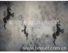滌綸布 點擊查看大圖