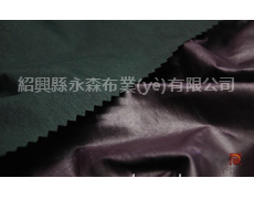 涂層面料 點擊查看大圖
