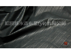 涂層面料 點擊查看大圖