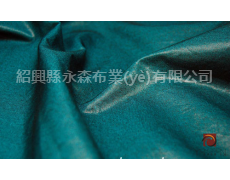 涂層面料 點擊查看大圖