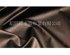 涂層面料 點擊查看大圖