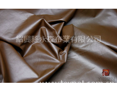 涂層面料 點擊查看大圖