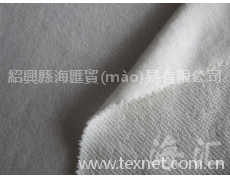 毛圈布（衛(wèi)衣布） 點(diǎn)擊查看大圖