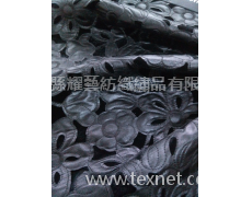 激光繡 點(diǎn)擊查看大圖