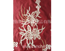 激光繡 點(diǎn)擊查看大圖