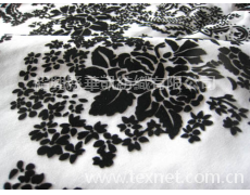 滌棉植絨 點擊查看大圖