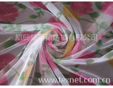 滌綸網(wǎng)布印花 點(diǎn)擊查看大圖