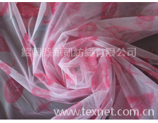 滌綸網布印花 點擊查看大圖