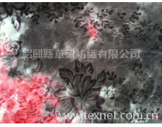 滌彈印花植絨 點擊查看大圖