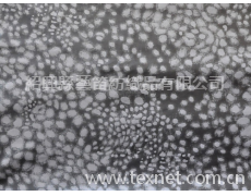 全滌提花 點擊查看大圖