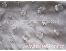 特種繡 點擊查看大圖