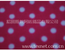 印花搖粒絨 點擊查看大圖