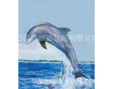 搖粒絨7 點(diǎn)擊查看大圖
