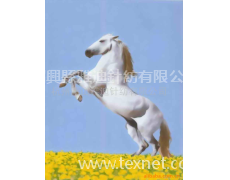 搖粒絨8 點擊查看大圖