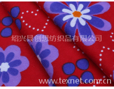 印花法兰绒 点击查看大图