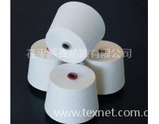 環(huán)錠紡滌棉紗T80/C20 50支 點擊查看大圖