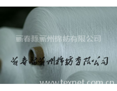滌綸紗 點擊查看大圖