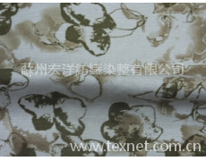 苧麻 點擊查看大圖