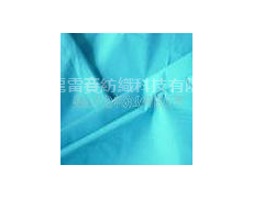 消光尼絲紡 點擊查看大圖