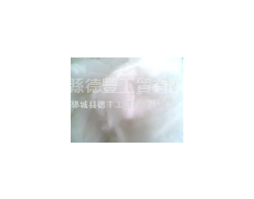 機梳兔絨 點擊查看大圖