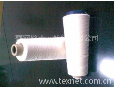 滌棉紗 點擊查看大圖